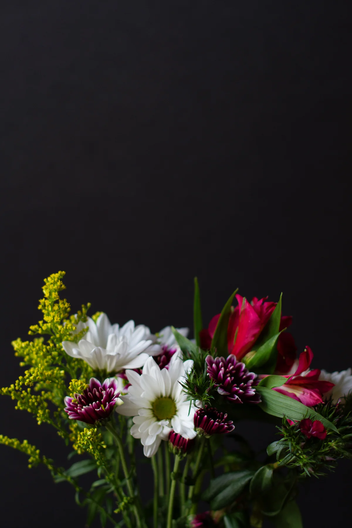 IMG_7201-Edit.jpg