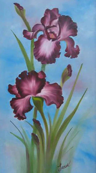 Iris7.jpg