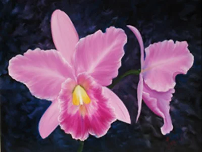 Cattleya2.jpg