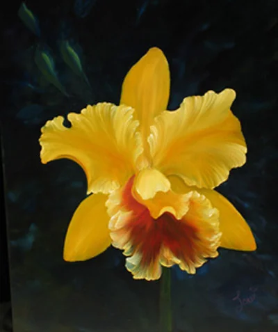 Cattleya1.jpg