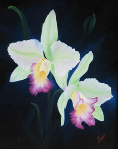 Cattleya4.jpg