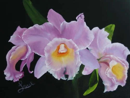 Cattleya7.jpg