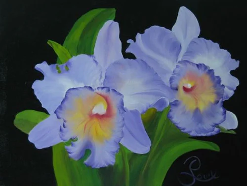 Cattleya8.jpg