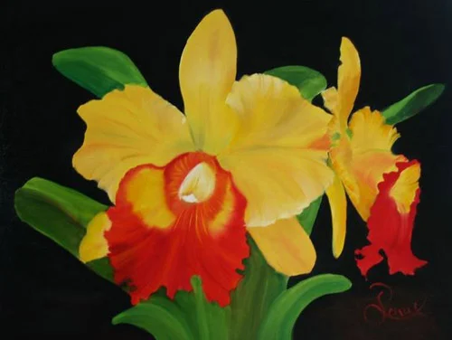 Cattleya10.jpg