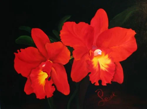Cattleya11.jpg