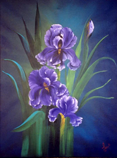 Iris4.jpg