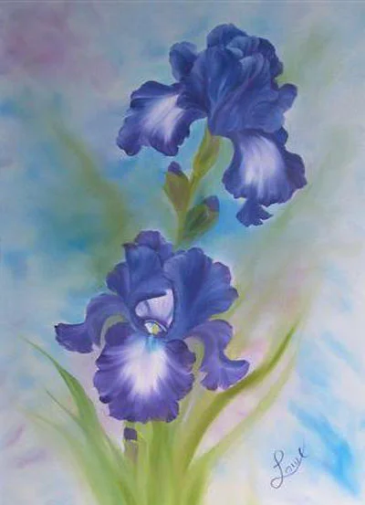 Iris5.jpg