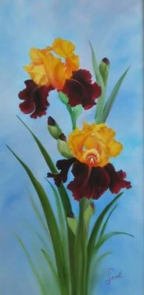 Iris8.jpg
