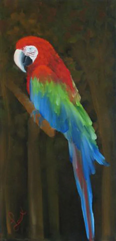 Macaw2.jpg