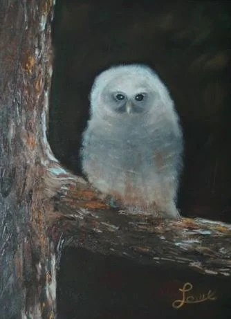 Owl4.jpg