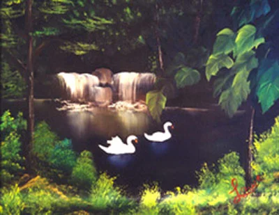 Swans2.jpg