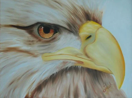 Eagle1.jpg