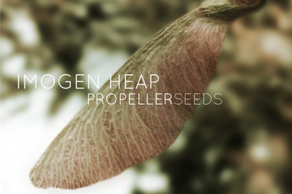 Imogen Heap's ‘Propeller Seeds' World's 1st ‘Immersive Song’