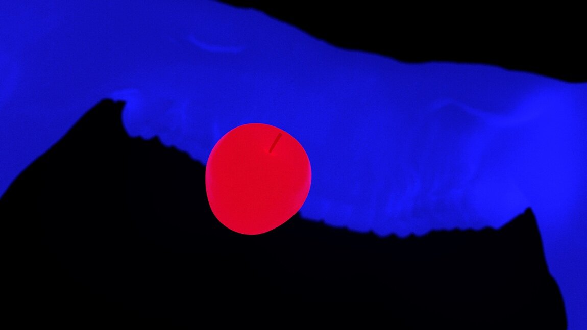 RE:COGNITION PODCAST