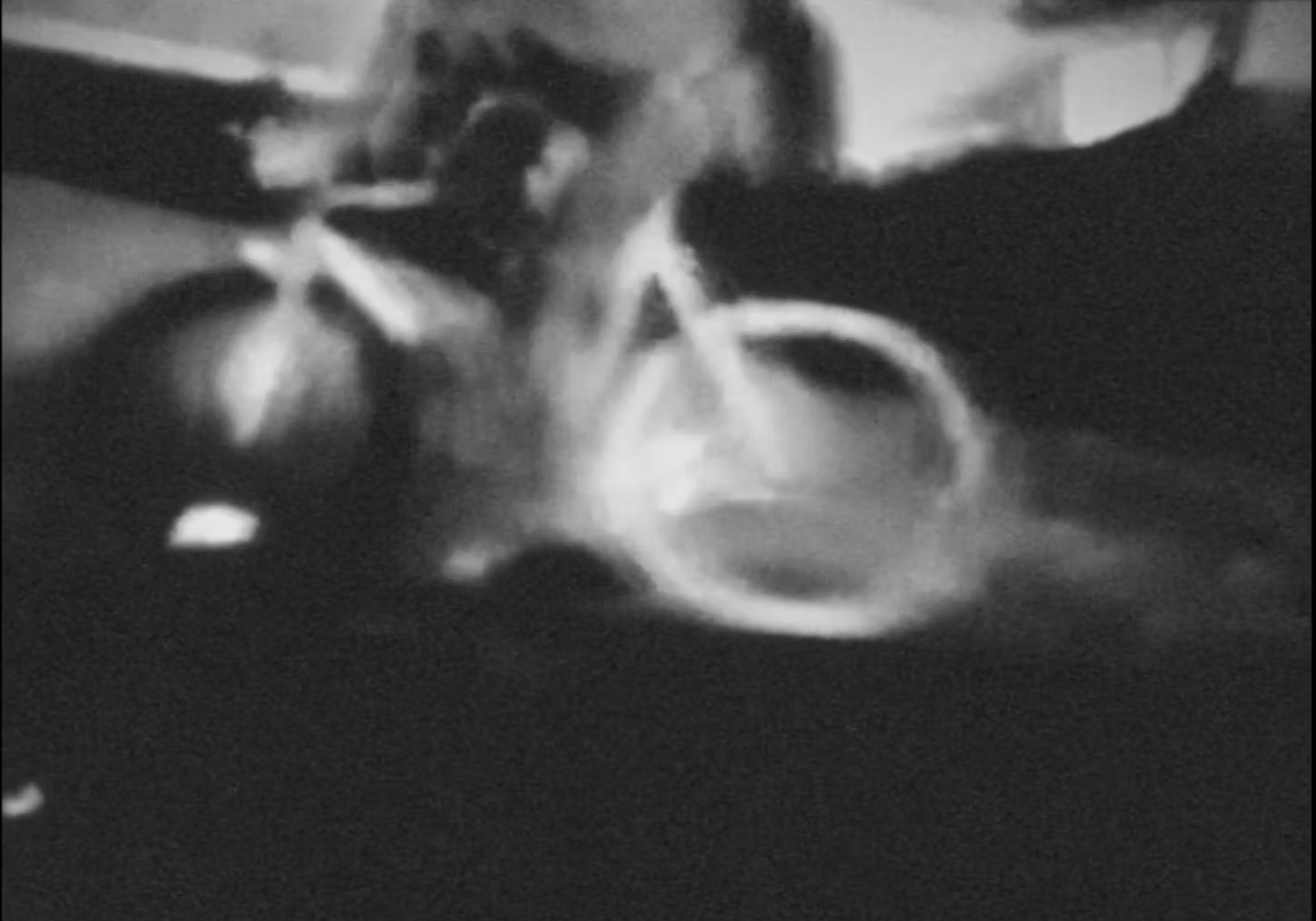 We Both Lived Somewhere Halfway up this Hill (2019)