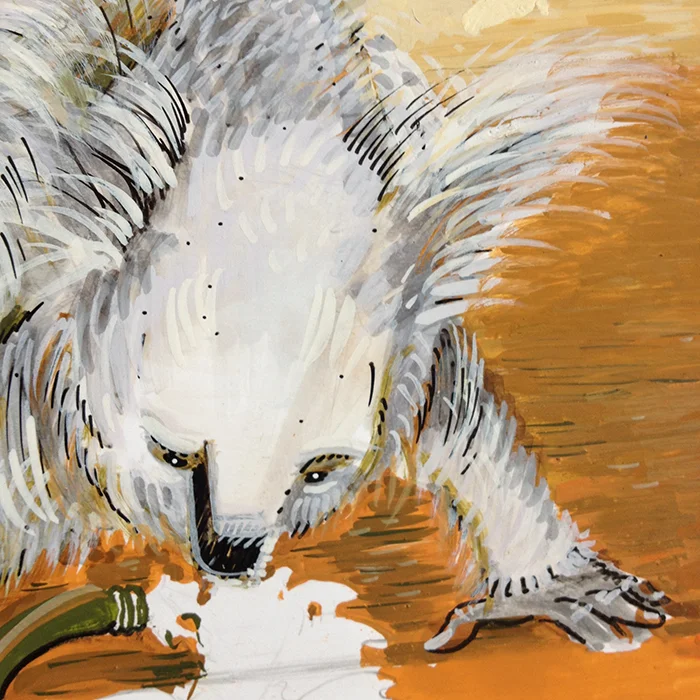 Koala.jpg