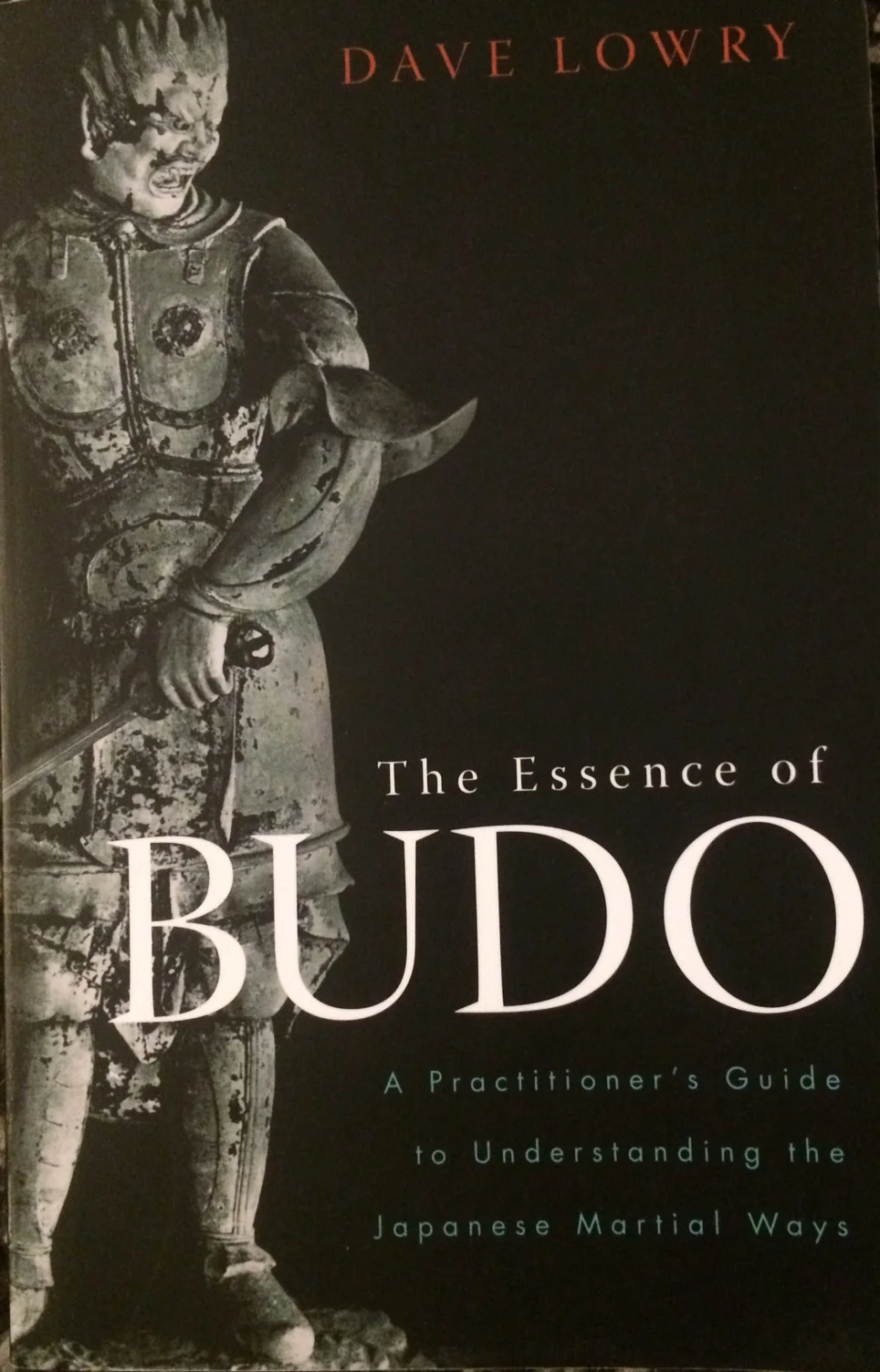 theessenceofbudo-davelowry.jpg
