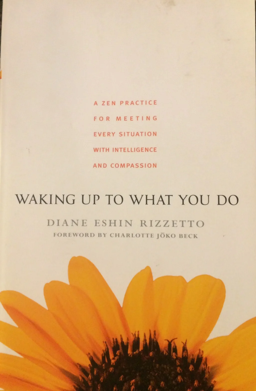 wakinguptowhatyoudo-dianeeshinrizzetto.jpg