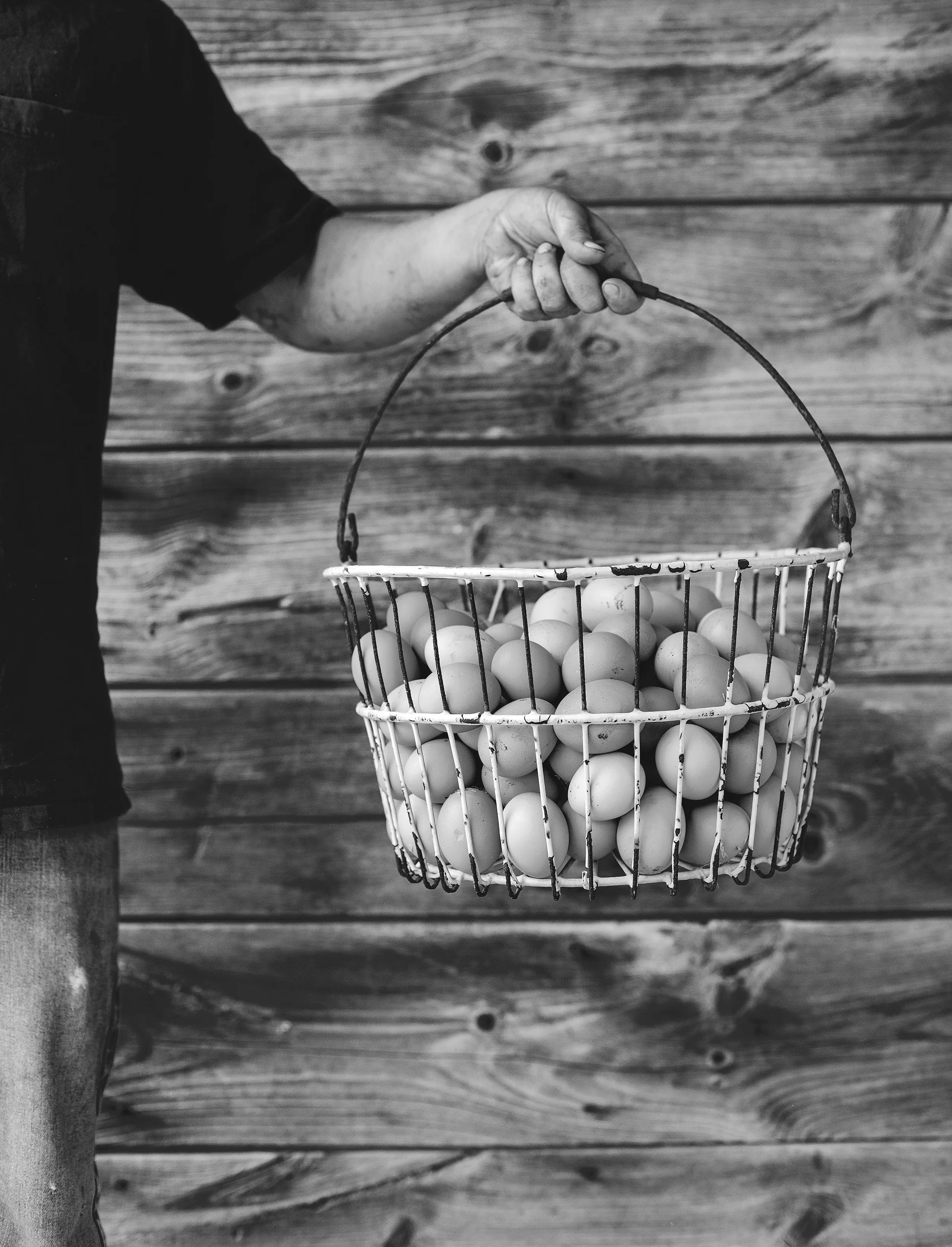 Cole of Chicken Little Farm with pastured eggs