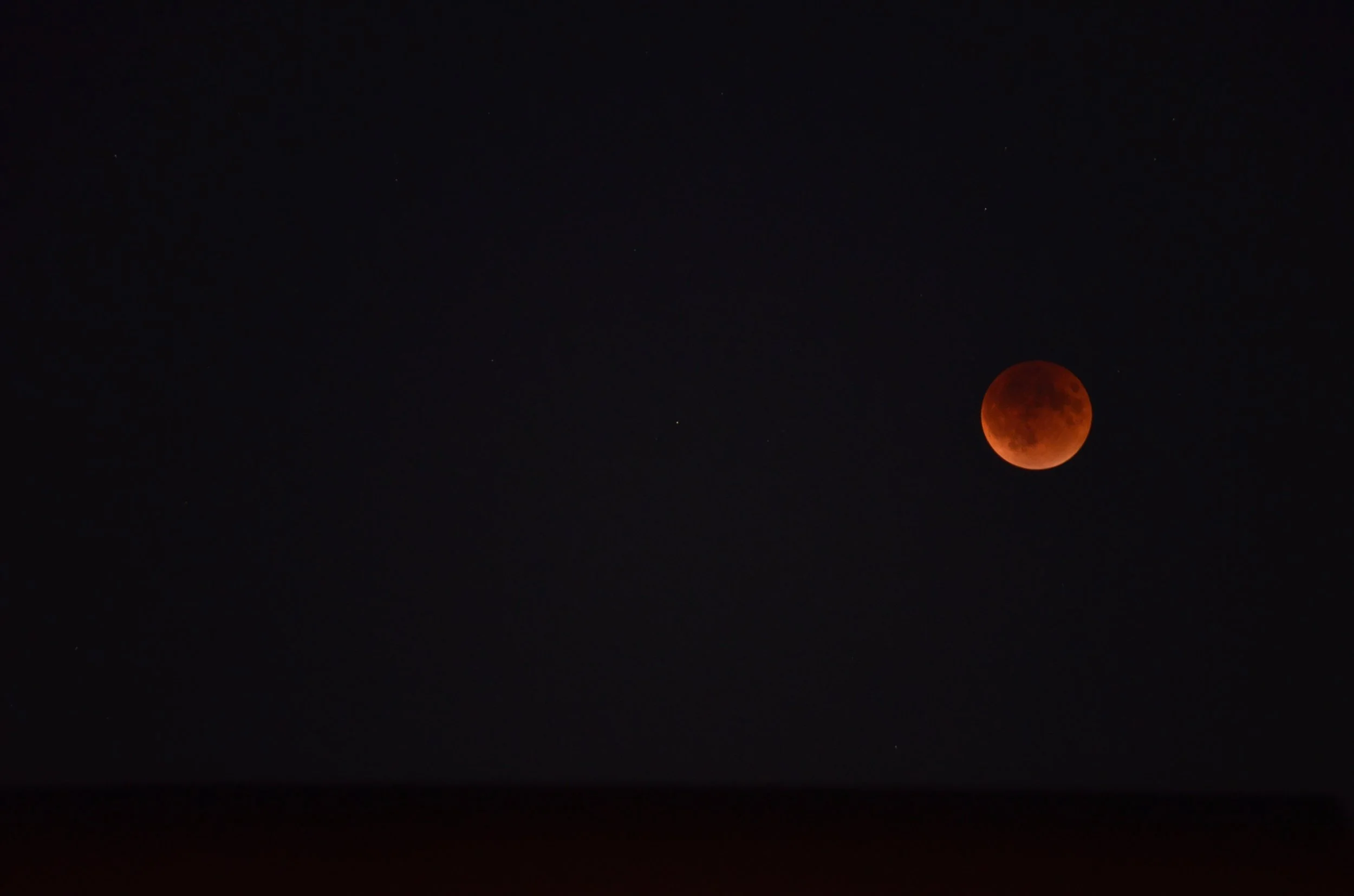 DSC_0006.jpg