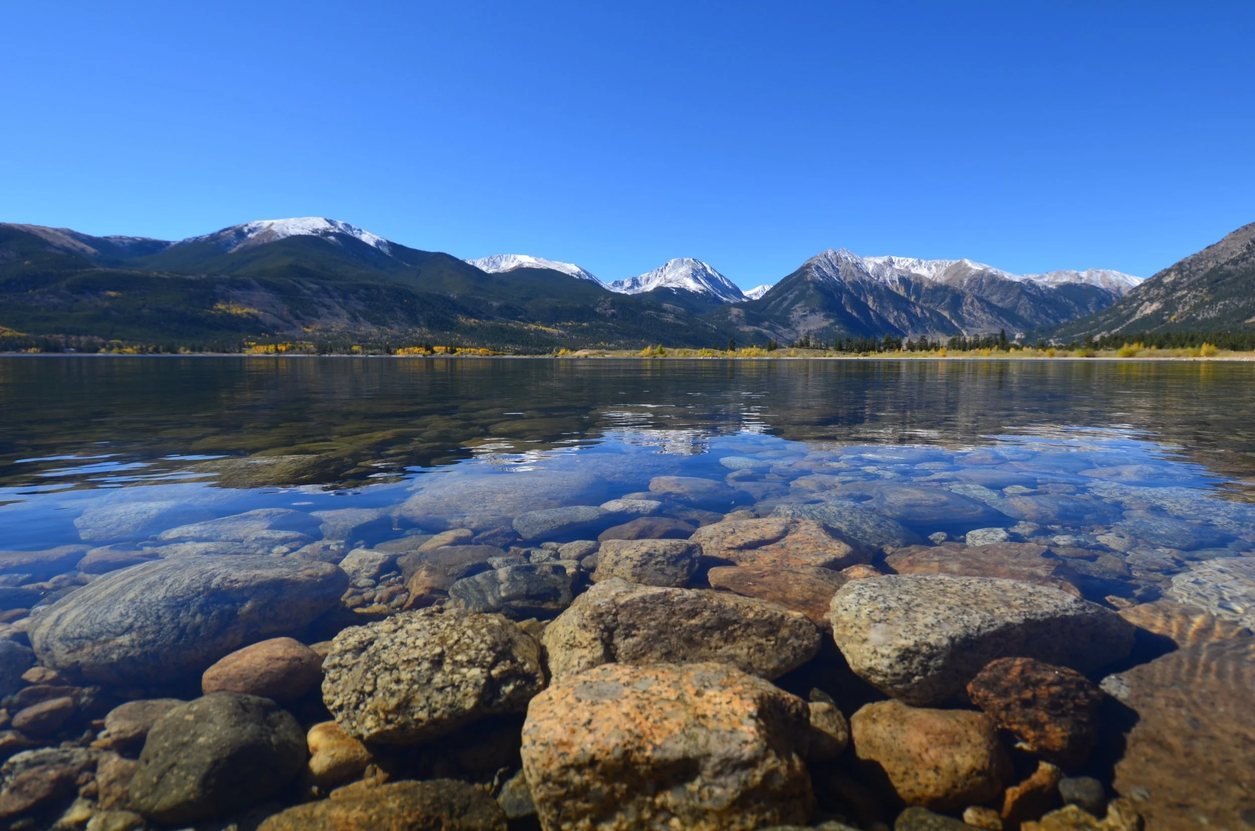 DSC_0169.jpg