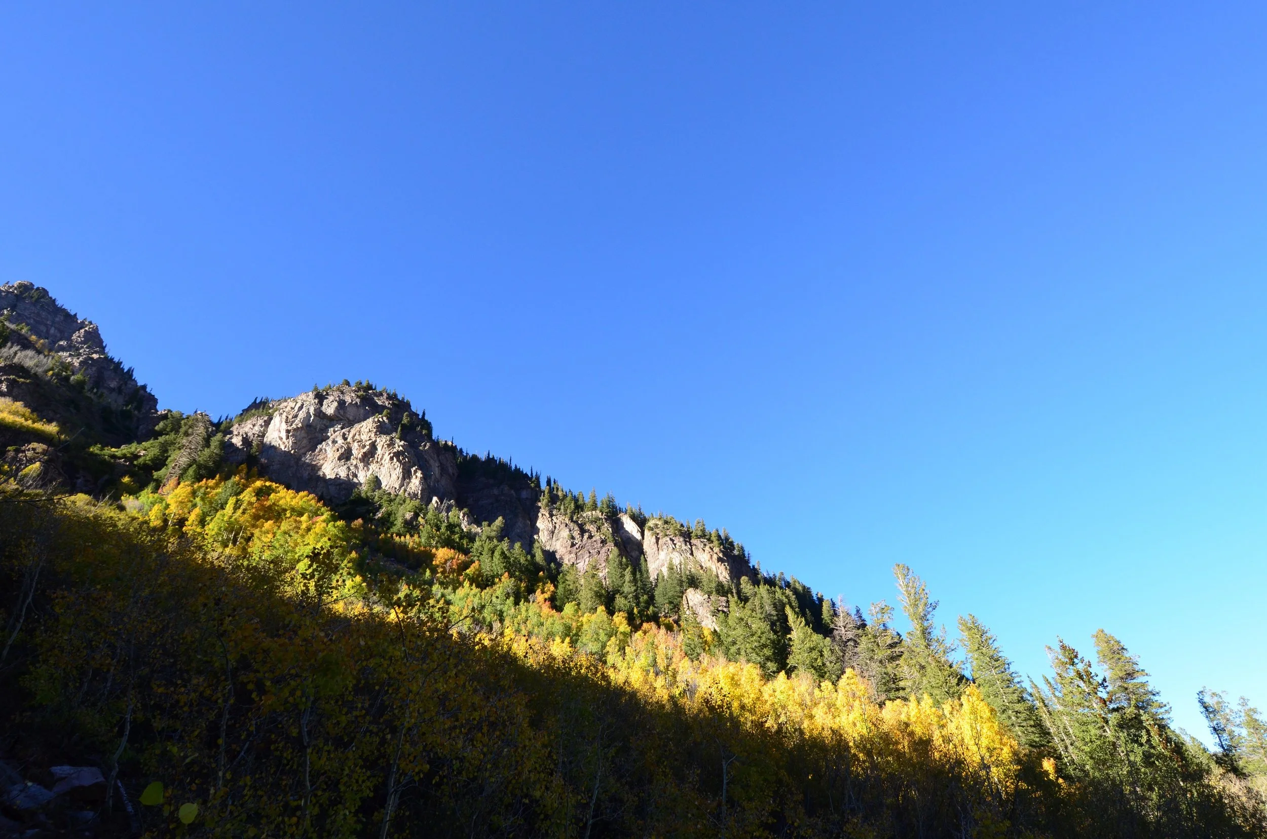 DSC_0307.jpg