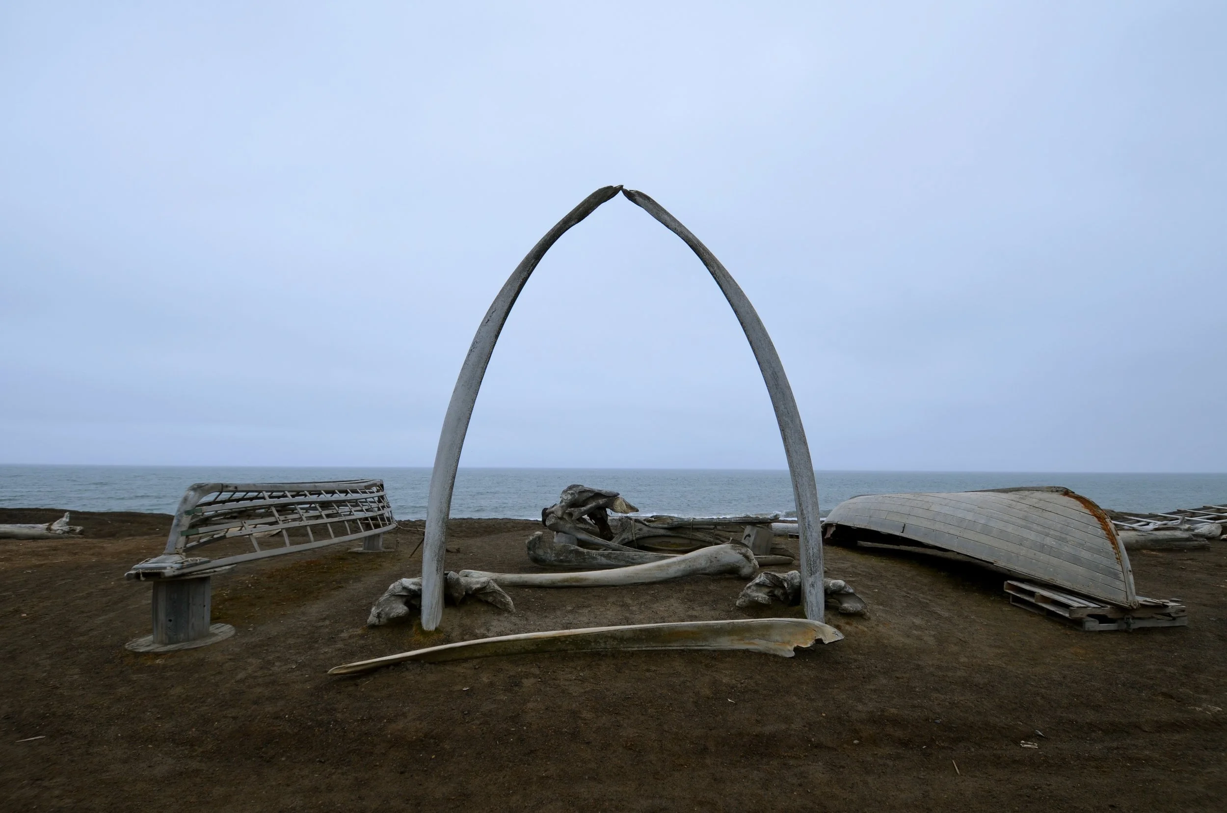 DSC_0946.jpg