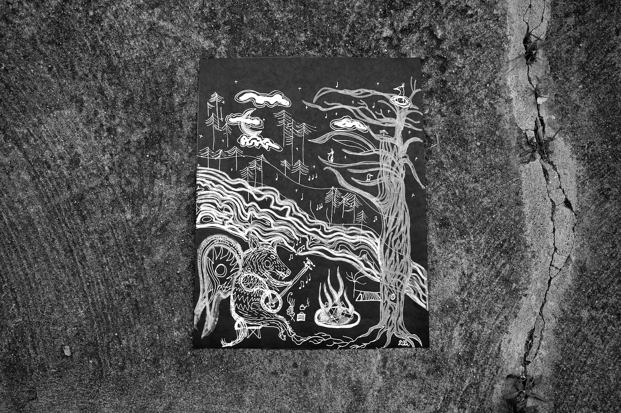 Hindsight is a collection of fifteen remastered tracks from Dillbilly's previous releases that highlight their artistic evolution. The songs, originally released under Dillbilly's birth name, Denise Dill, showcase their soaring vocals and metaphorical lyrics. They tell complex and vulnerable stories that find a way of weaving Midwestern charm, animal behavior, country living, weather patterns, farming, working-class humor, grief, plant ecology, queerness, white fragility, and birds...so many birds...into nest-like songs that make a home for what your heart has always longed to hear.