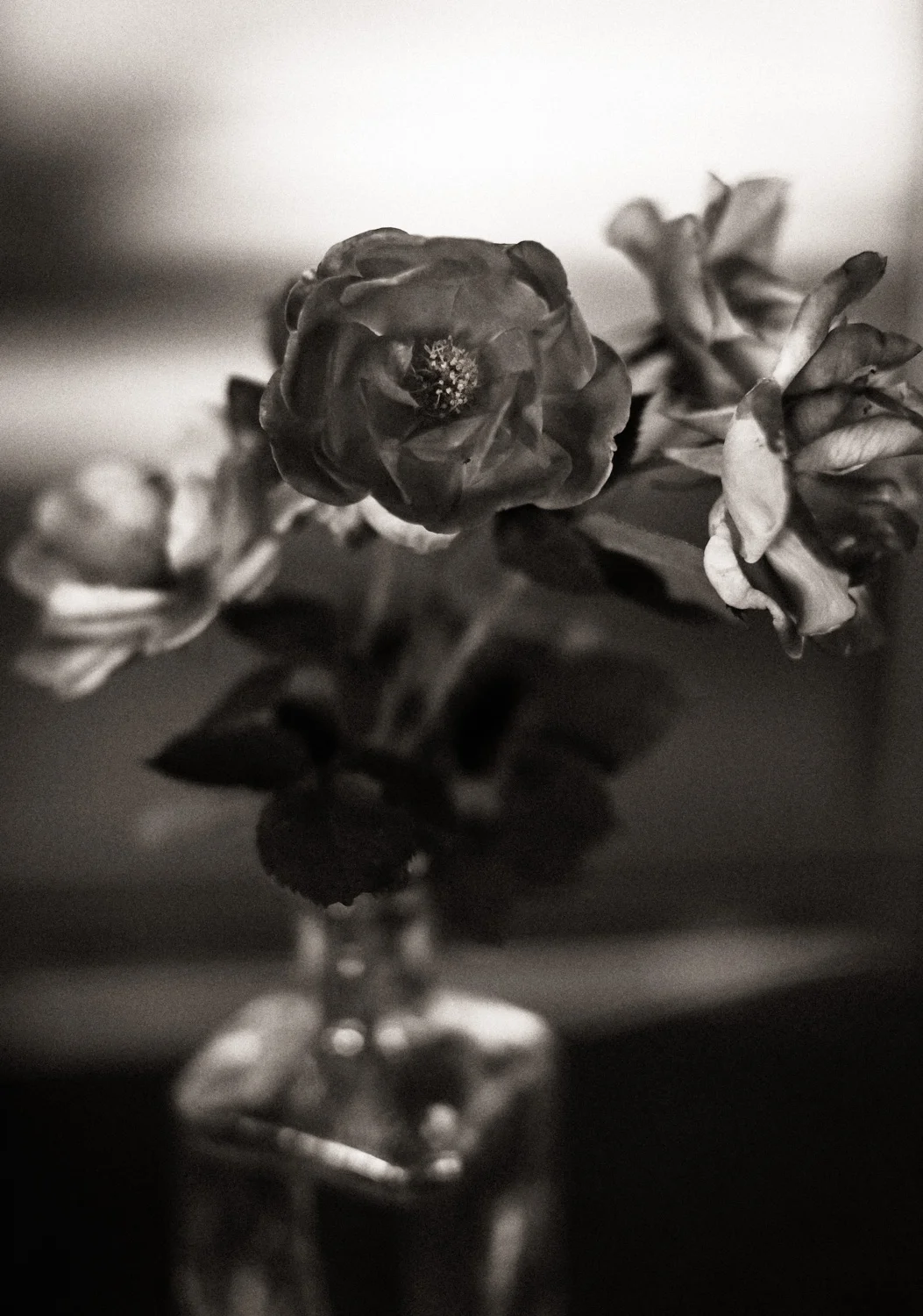 Antique Flowers and Bottle