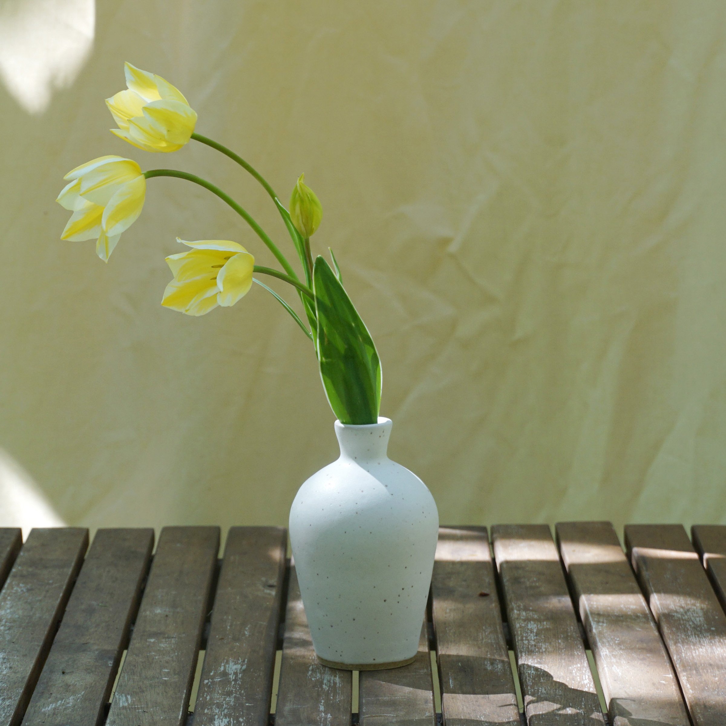 amphora bud_cloud.jpg