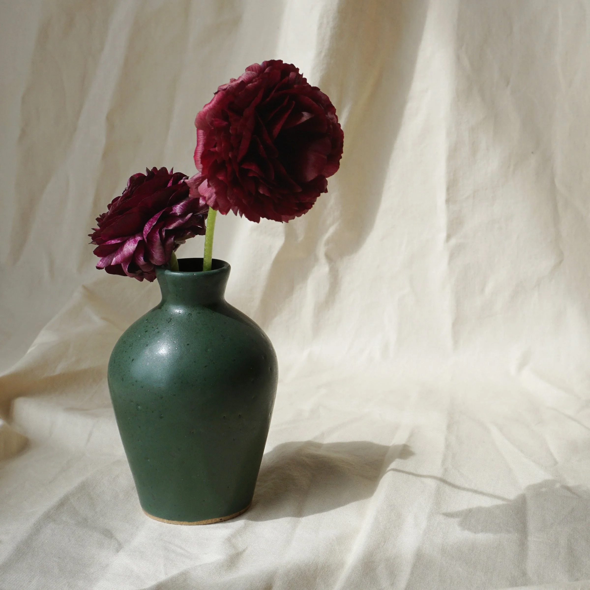 amphora bud_forest_2.jpg