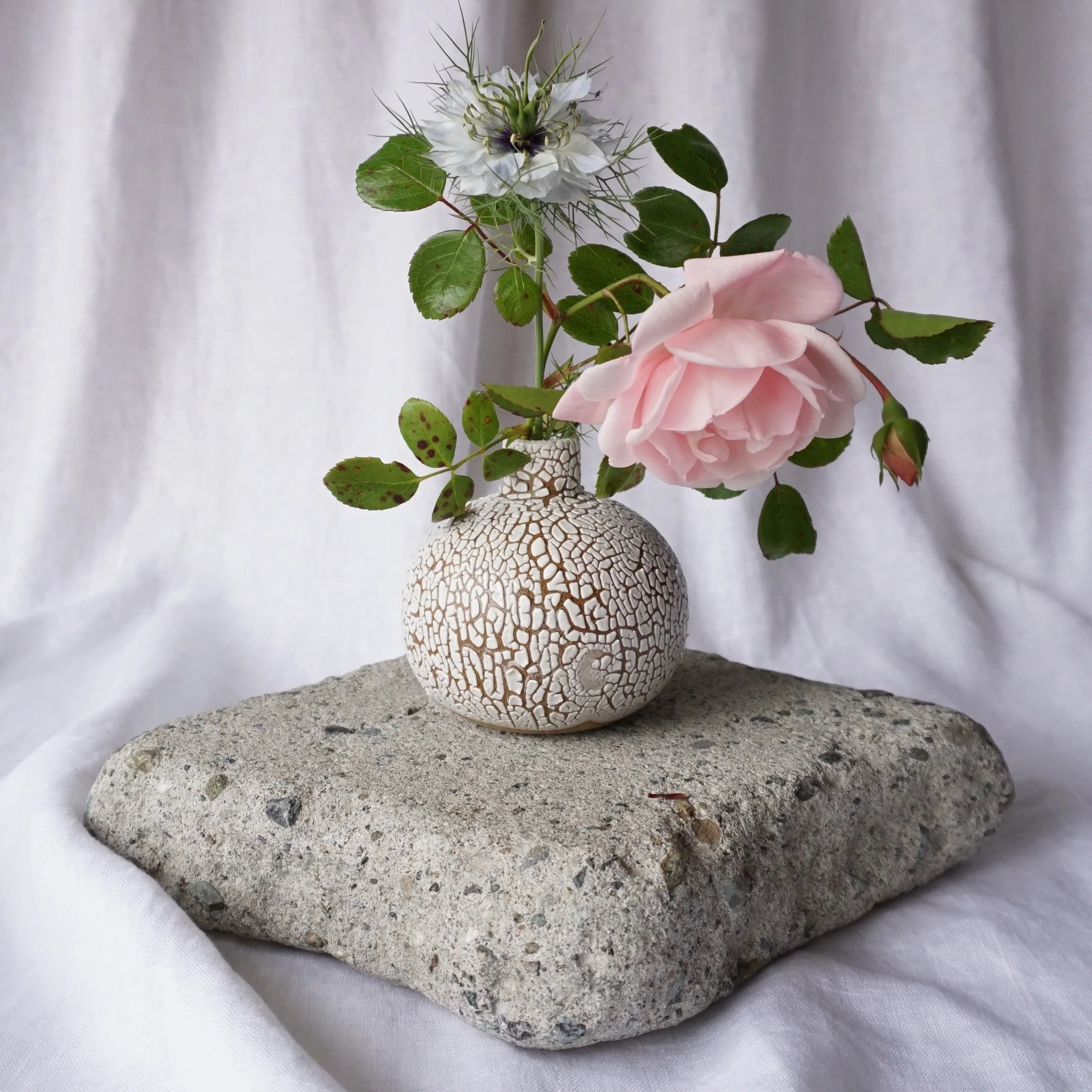 bud vase_crawl_1.jpg