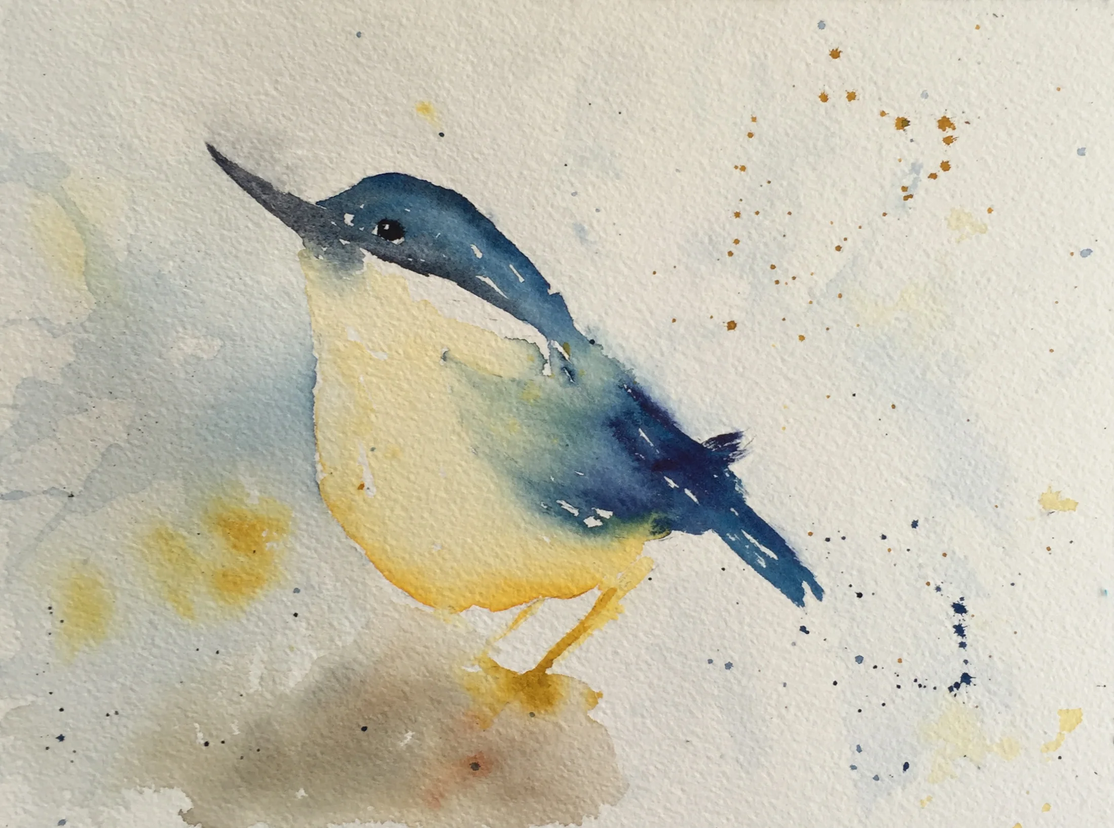 Little Warbler