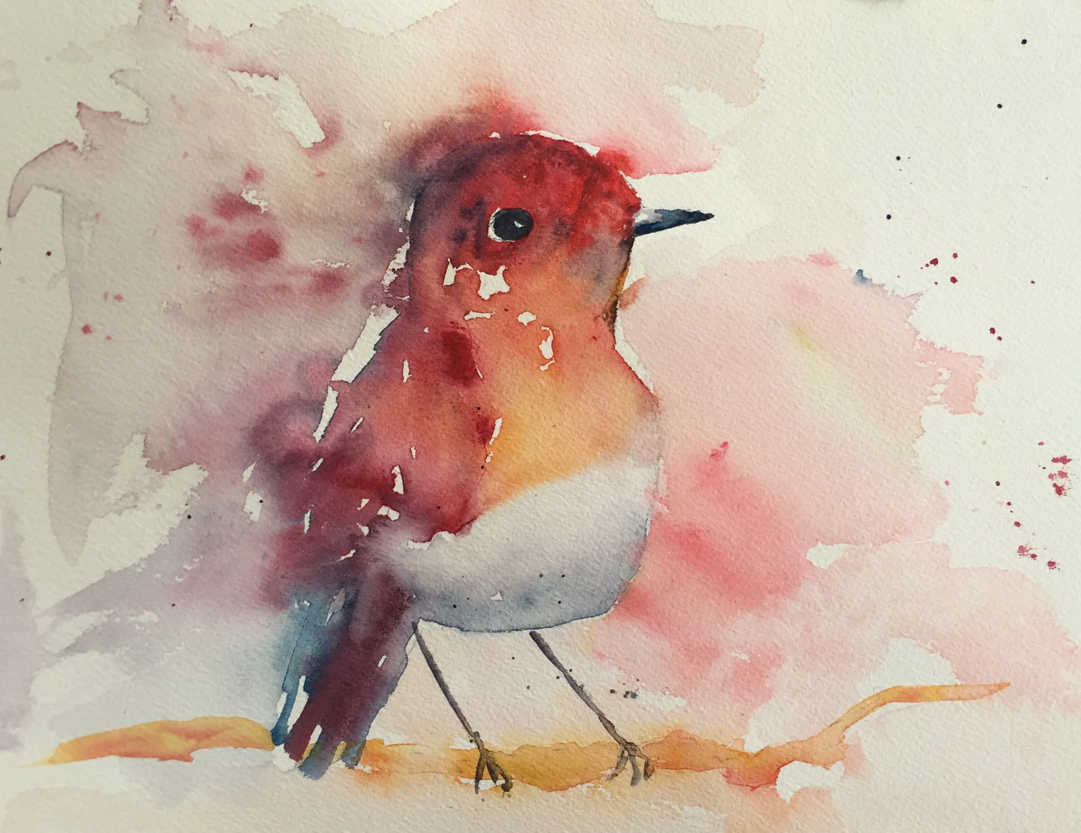 Robin