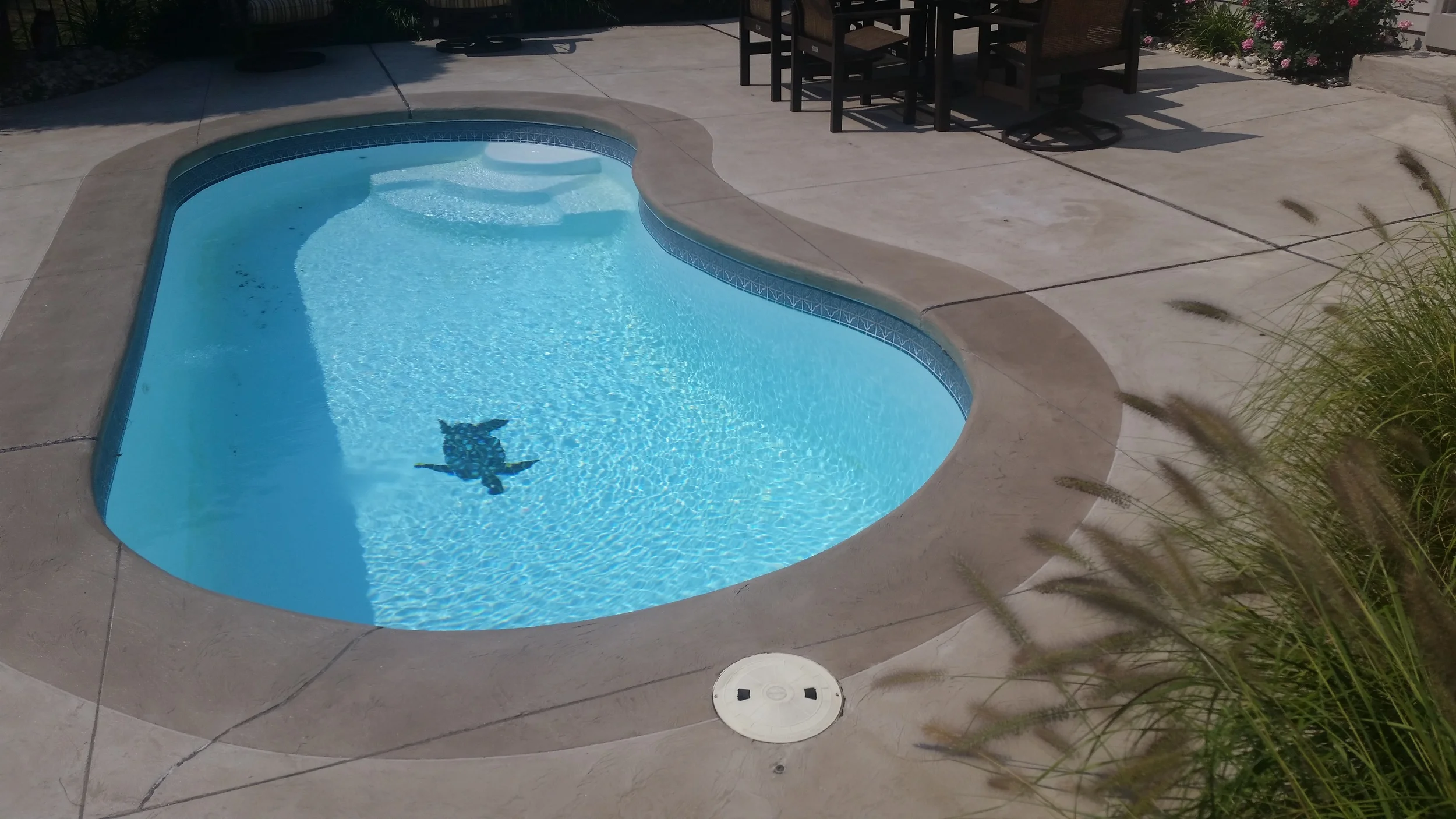 Pool Deck