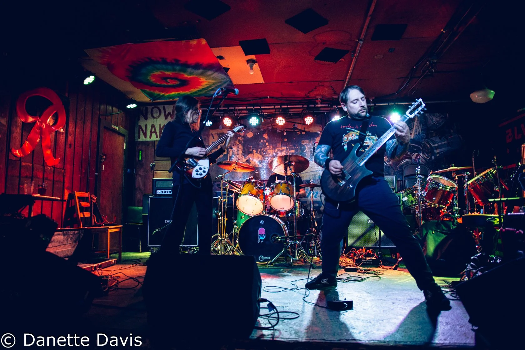 Everything Oscillating Release Show 2024 — Danette Davis