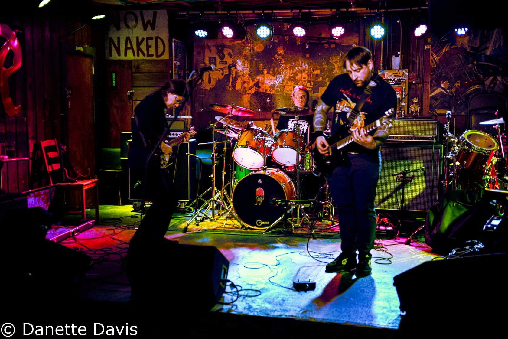 Everything Oscillating Release Show 2024 — Danette Davis
