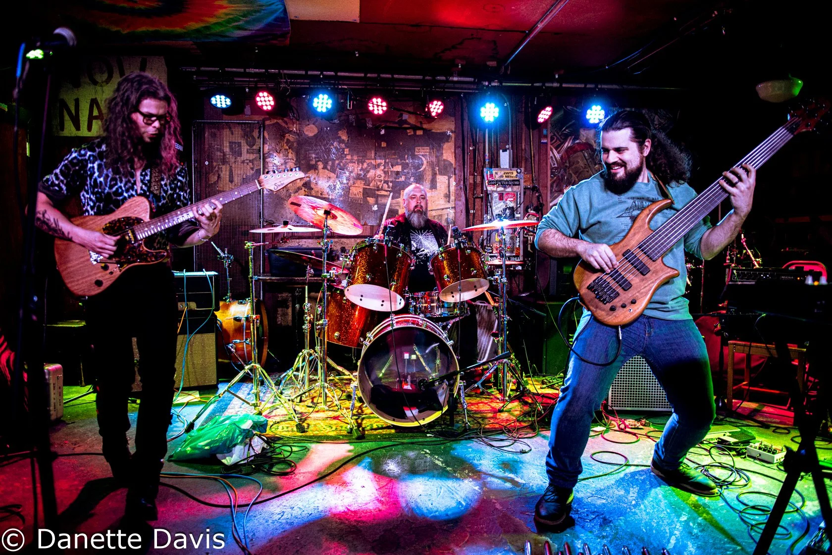 Everything Oscillating Release Show 2024 — Danette Davis