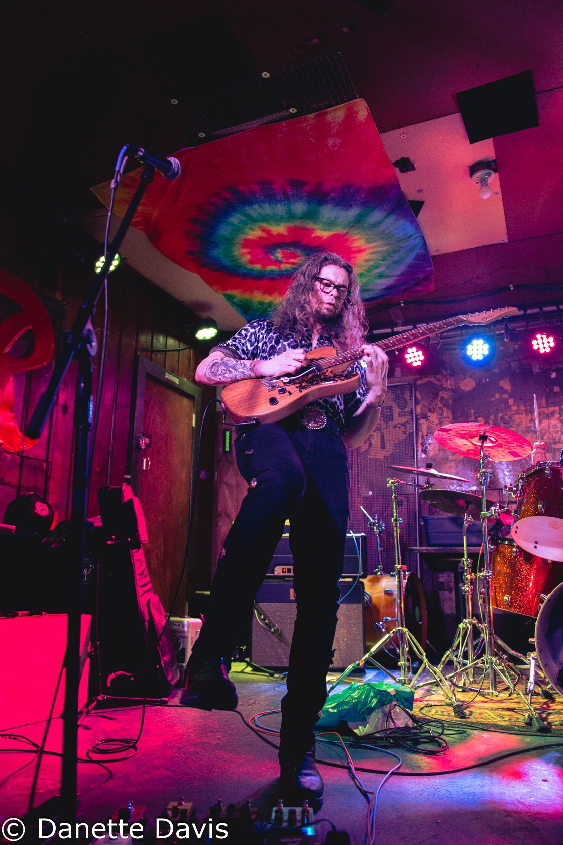 Everything Oscillating Release Show 2024 — Danette Davis