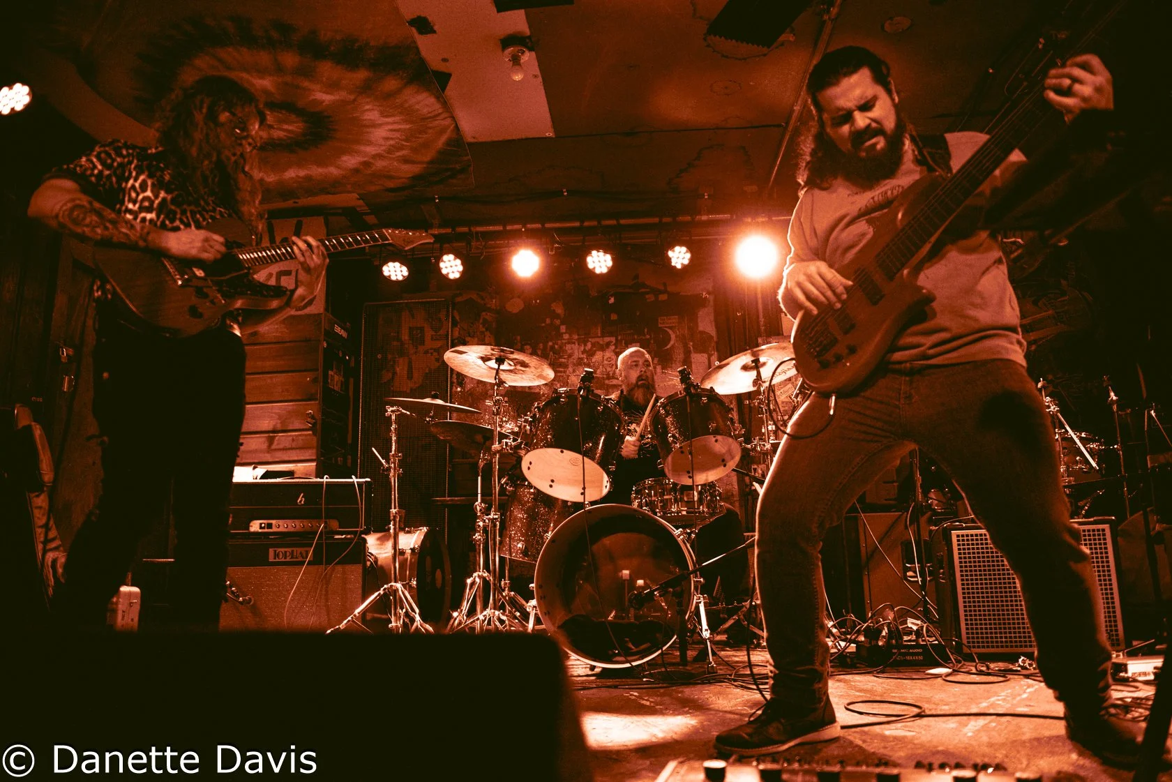 Everything Oscillating Release Show 2024 — Danette Davis