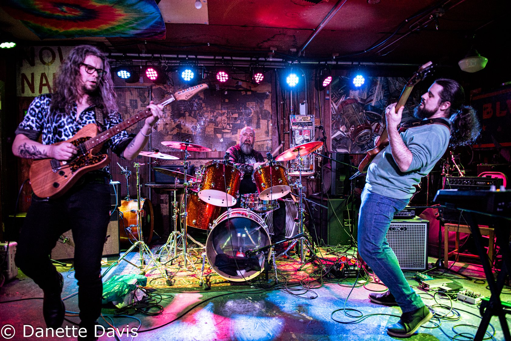 Everything Oscillating Release Show 2024 — Danette Davis