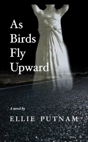 as birds fly upward cover-ebook.jpg