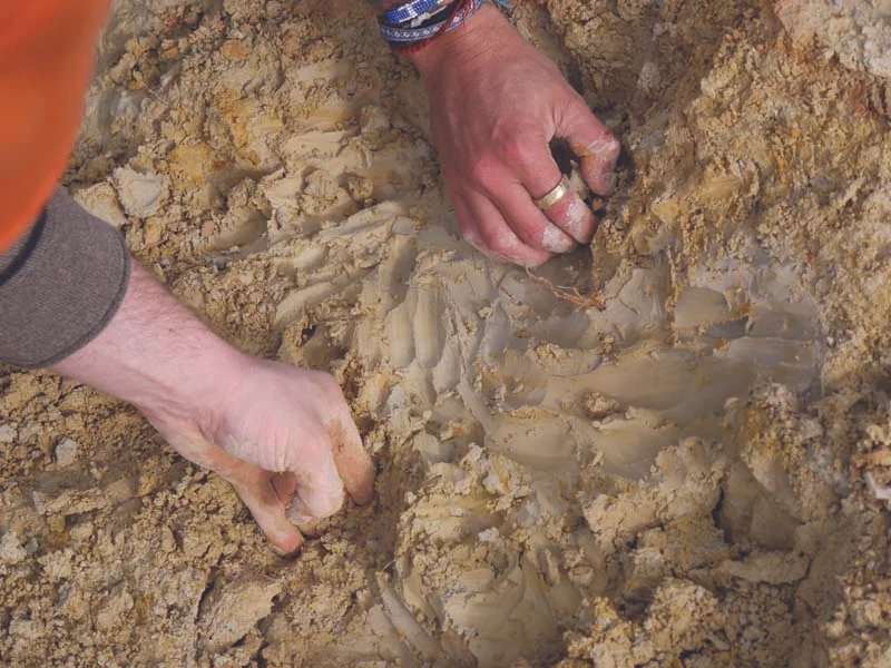 CLAYground.jpg