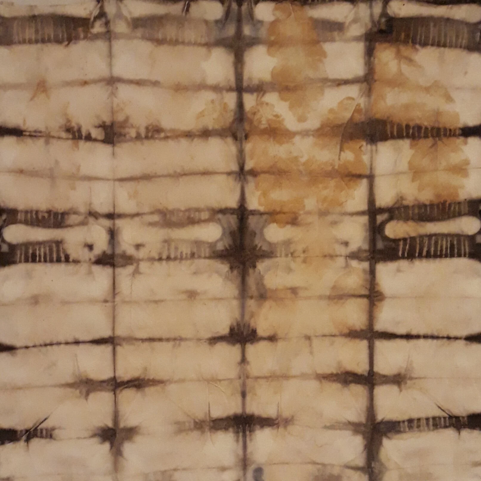 04 Plant Dyed Cloth.jpg
