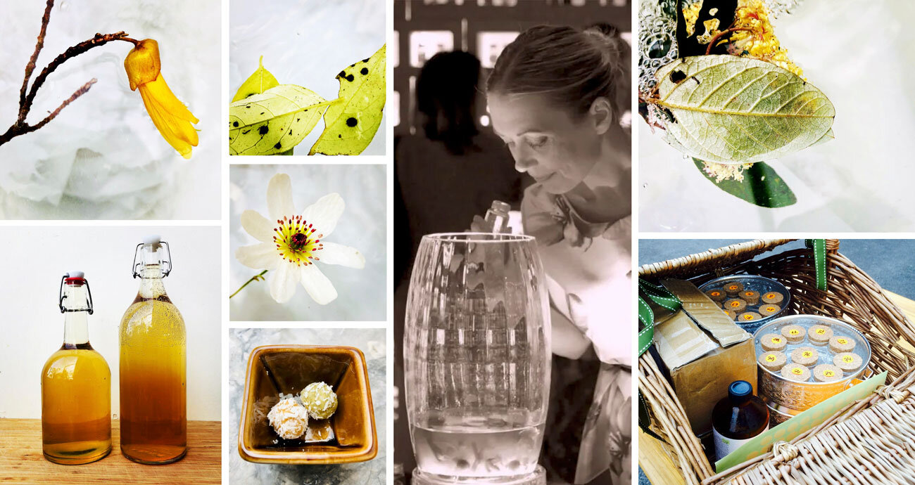 Seasonal Walk - Mamakan