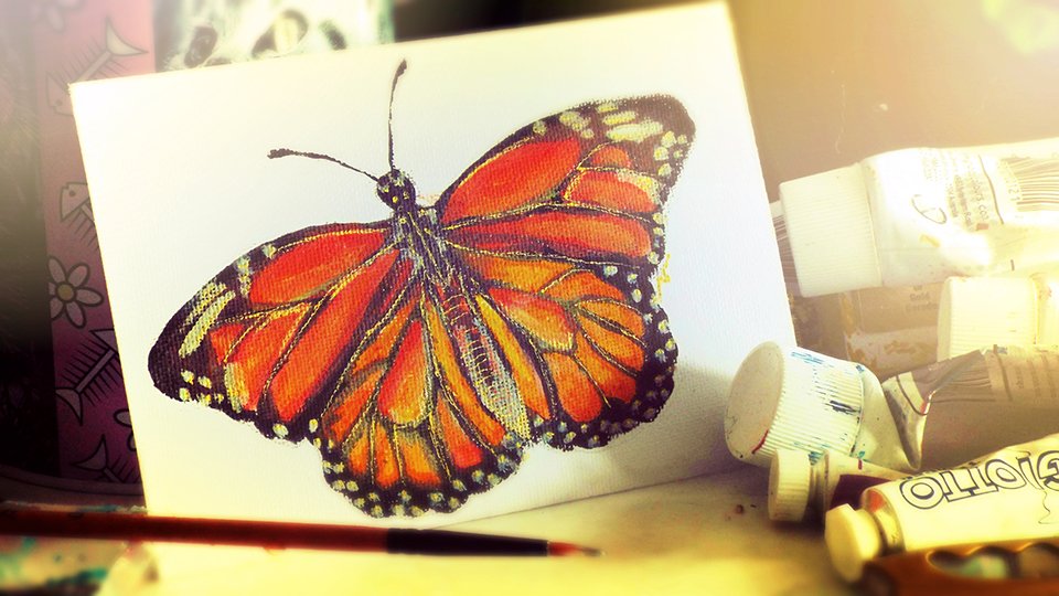 Naomi Shingler - Monarch Butterfly.jpg