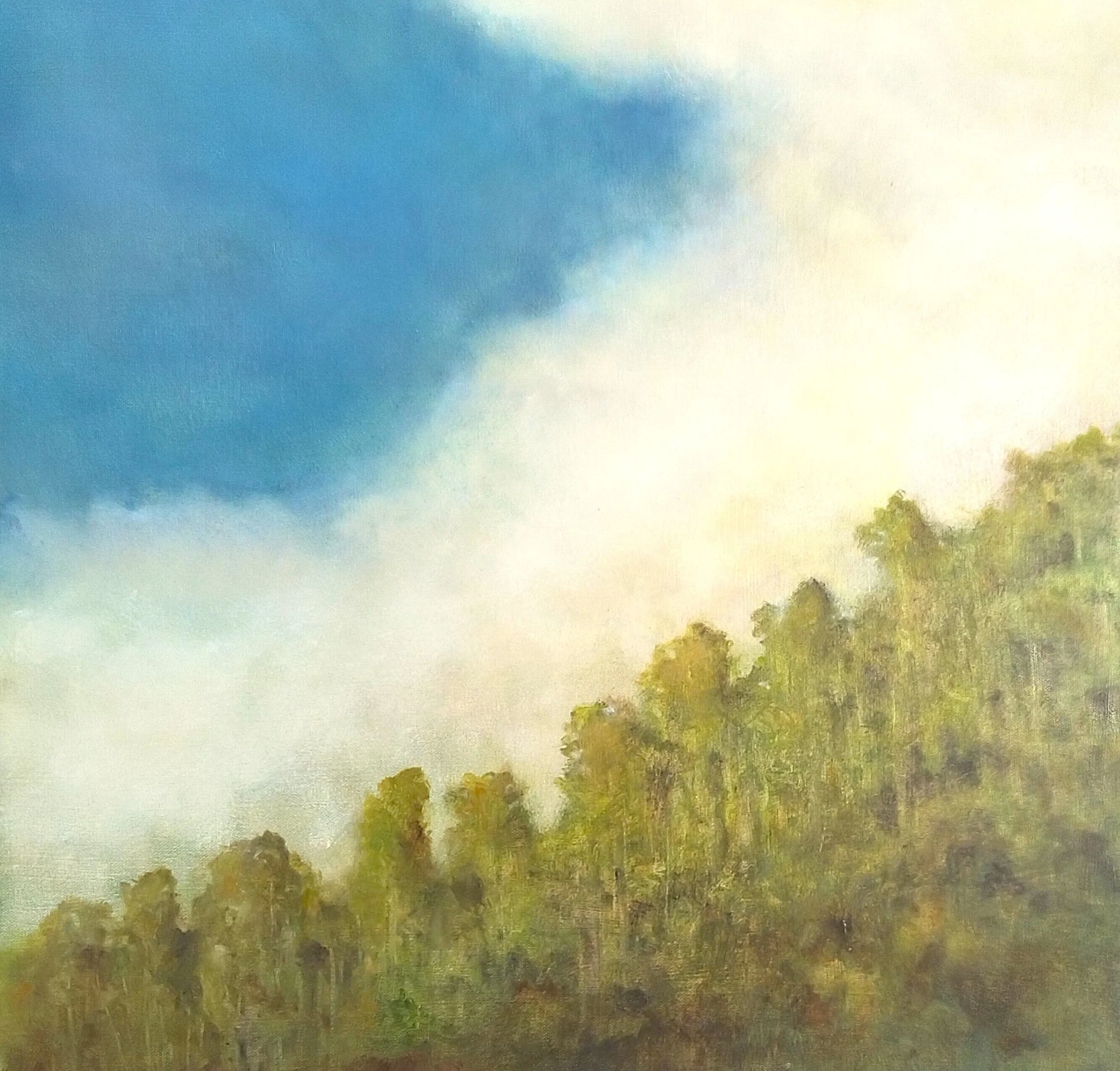Waitakere Ridgeline.jpg