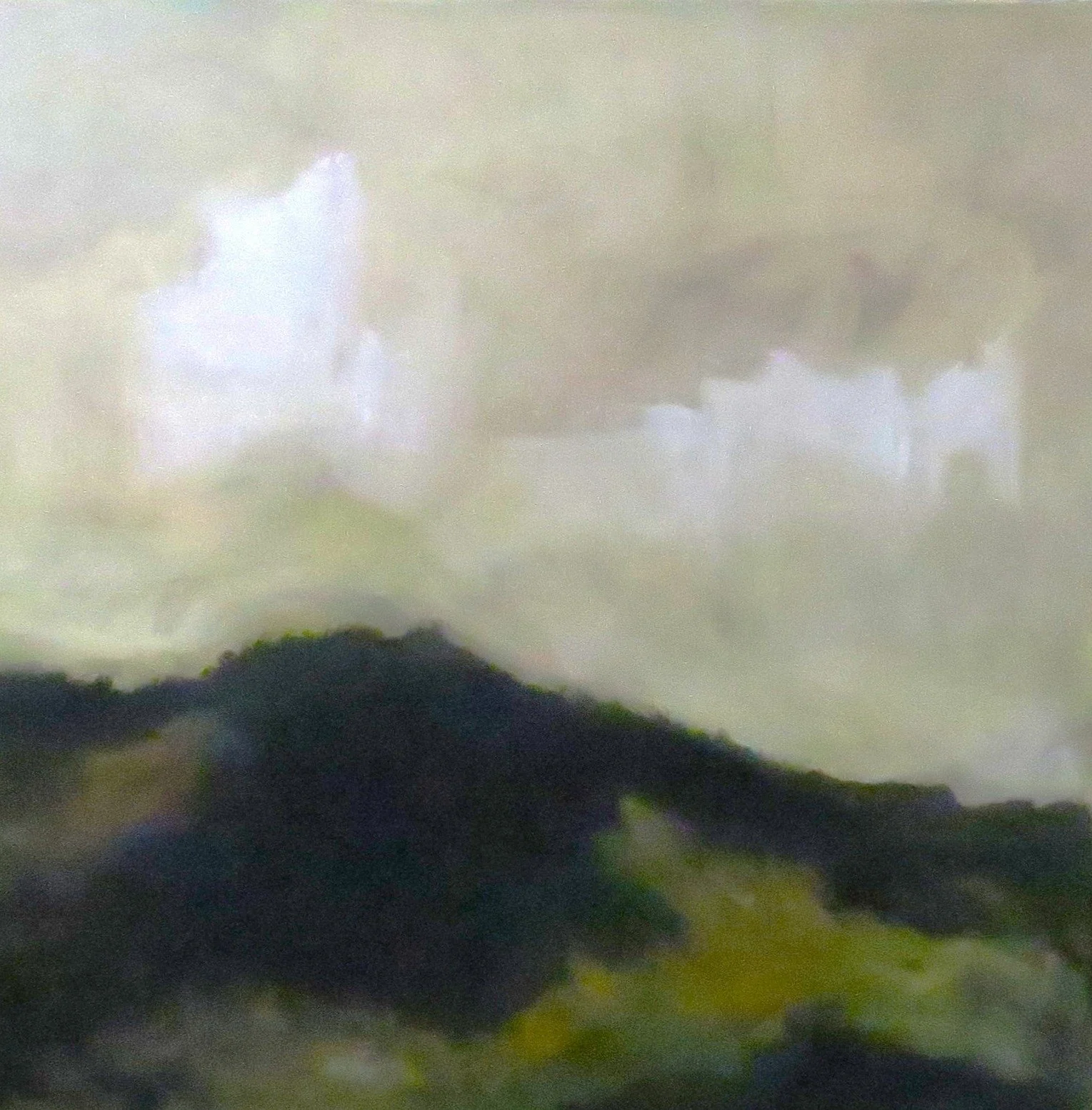 Steve Tollestrup Opanuku Studio