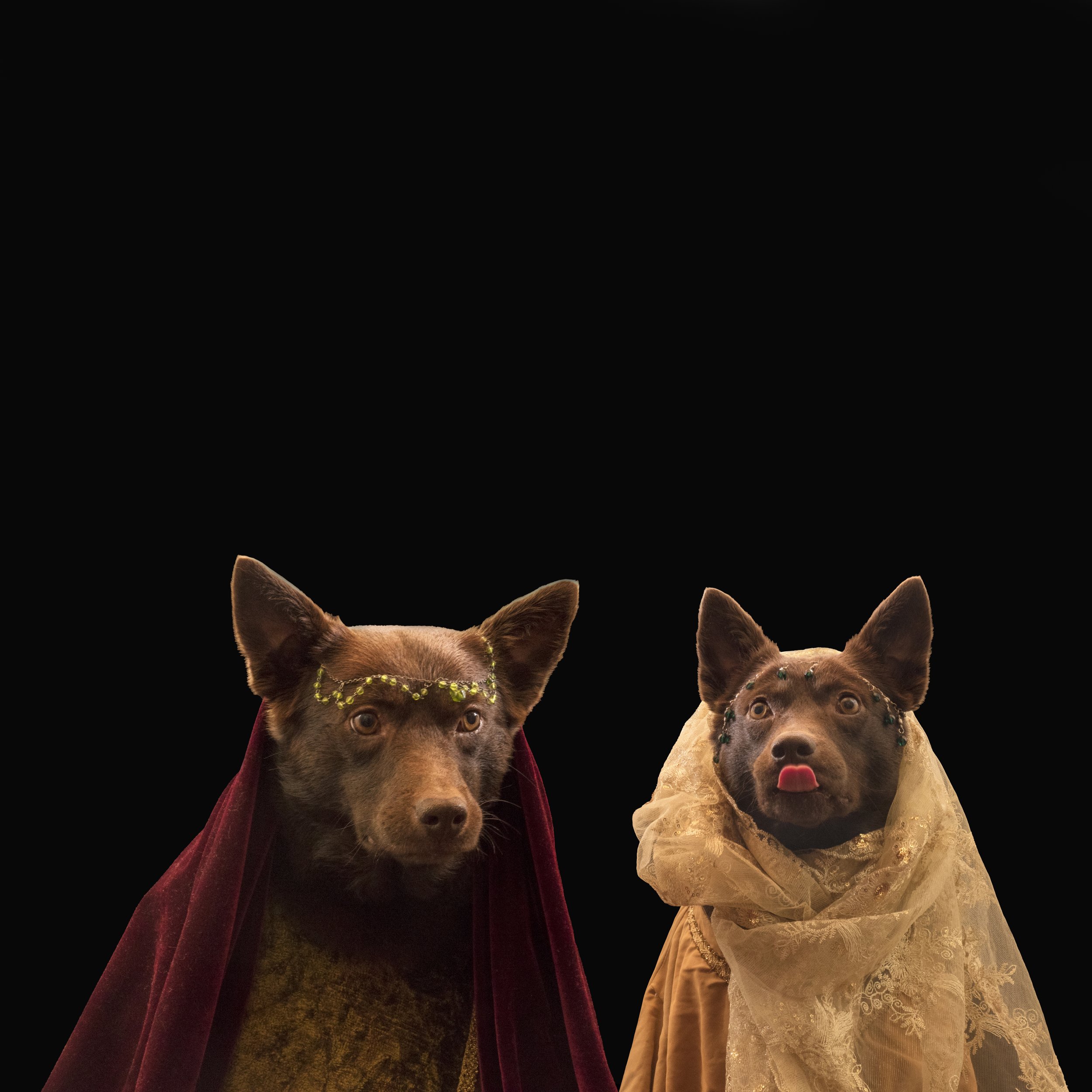 Hayley Theyers -Arthur and Guinevere.jpg