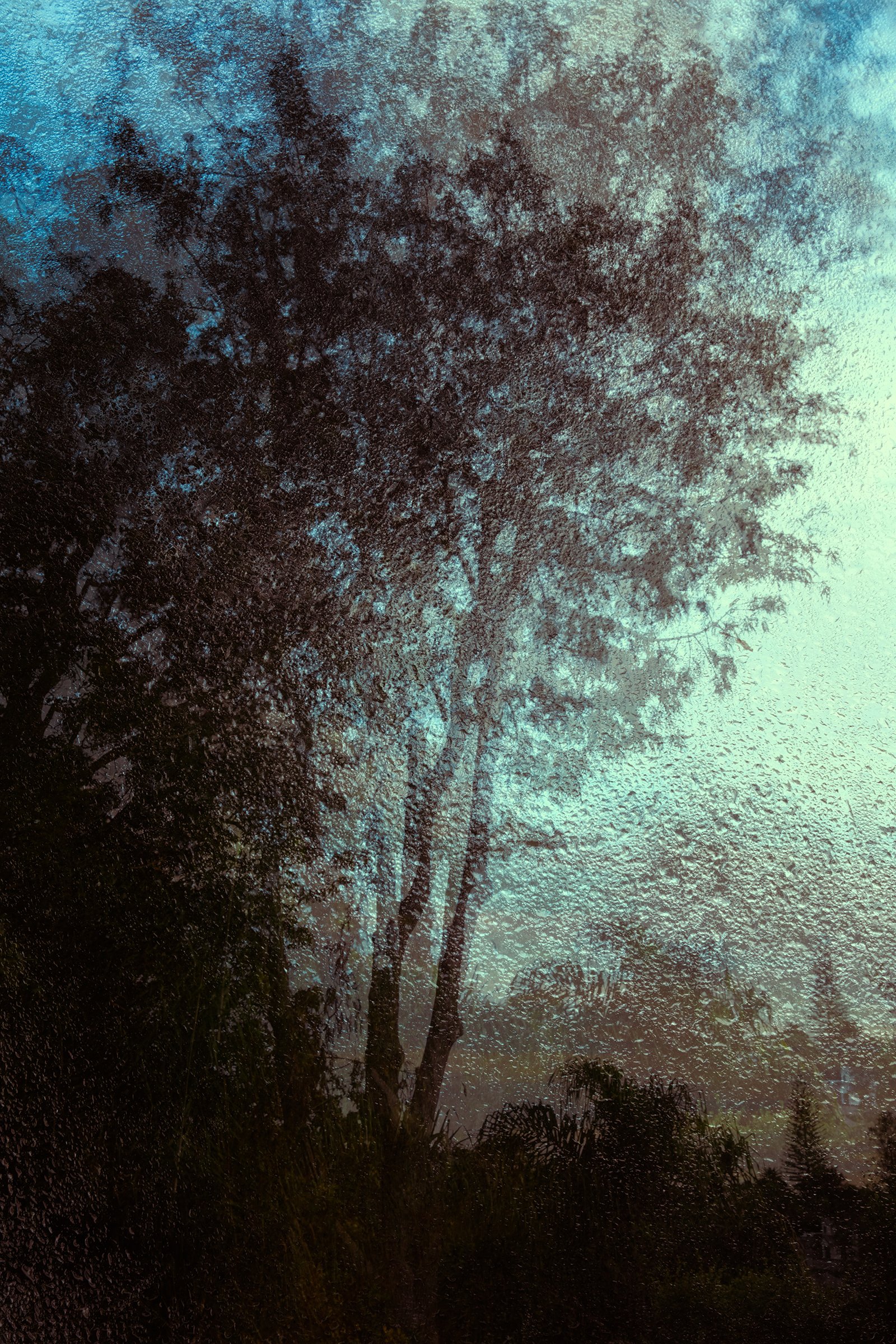 Titirangi sunrise, in-camera double exposure, 2025.jpg